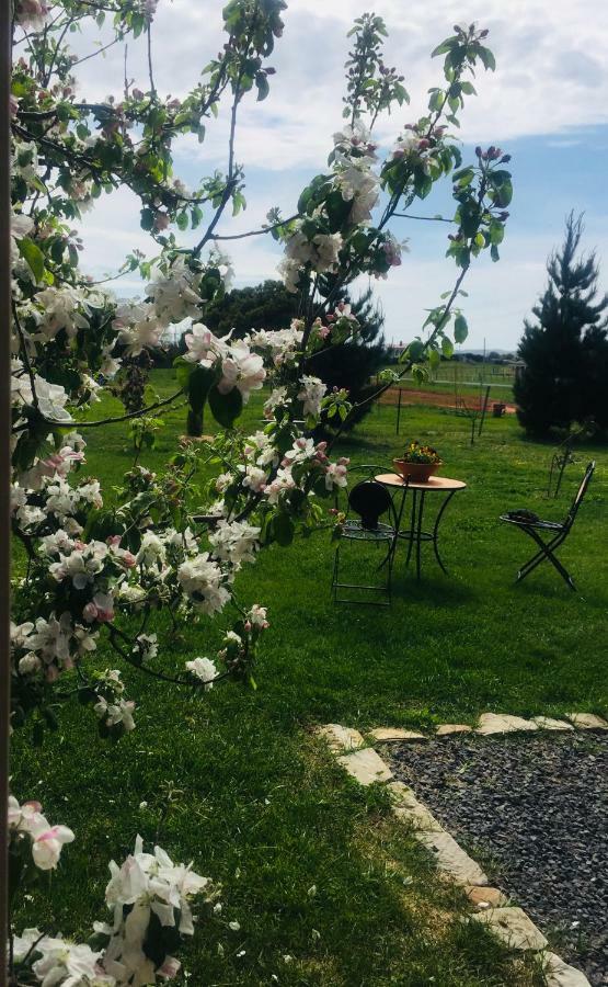 White Croft Cottage روس المظهر الخارجي الصورة